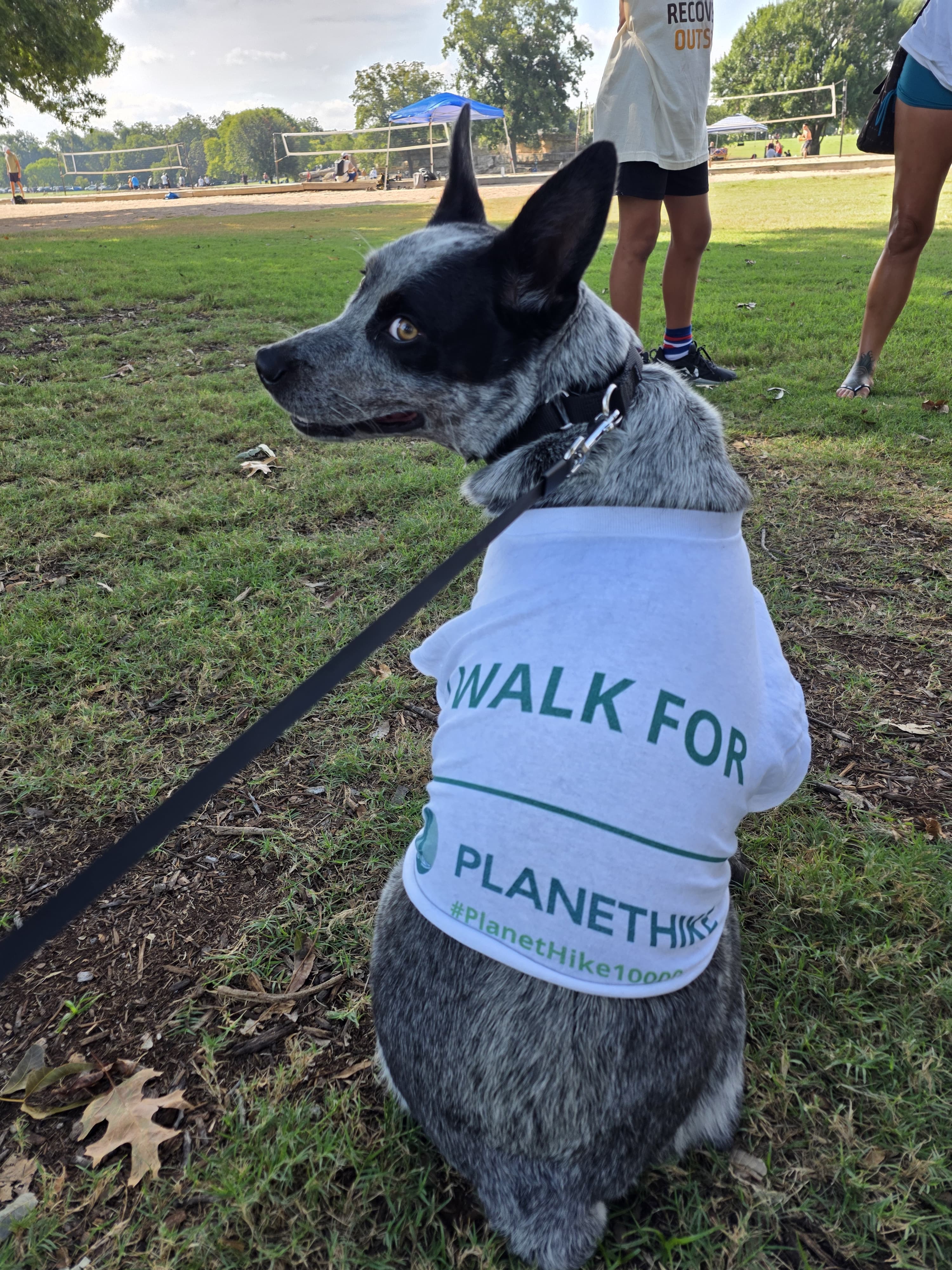 Dog with PlanetHike shirt